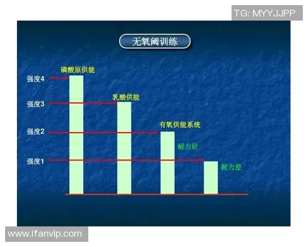 成都羽毛球队反击战术解析与实战应用探讨 成都羽毛球队反击战术解析与实战应用探讨