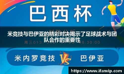 333体育官网